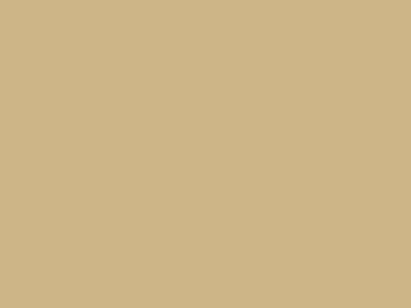 Beige yellow