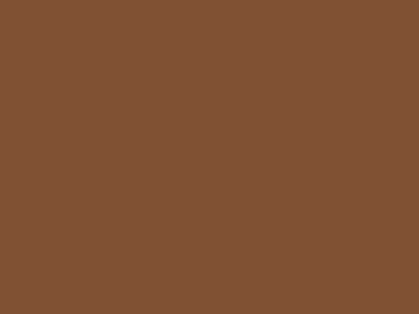 RAL 8003 earthy brown