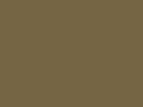 RAL 7008 earth yellow gray