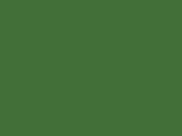 RAL 6010 grass green