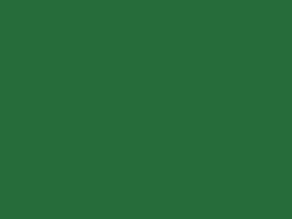 RAL 6001 Jade Green