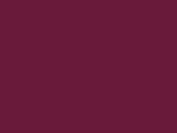 RAL 4004 Wine Red Purple