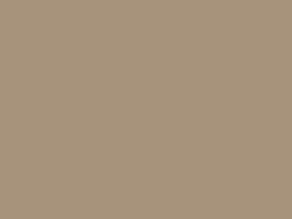 RAL 1019 beige gray